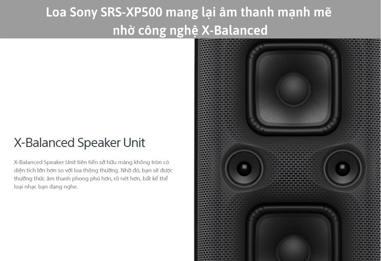 Loa Sony SRS-XP500