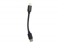 iBasso Type-C to Lightning Cable 