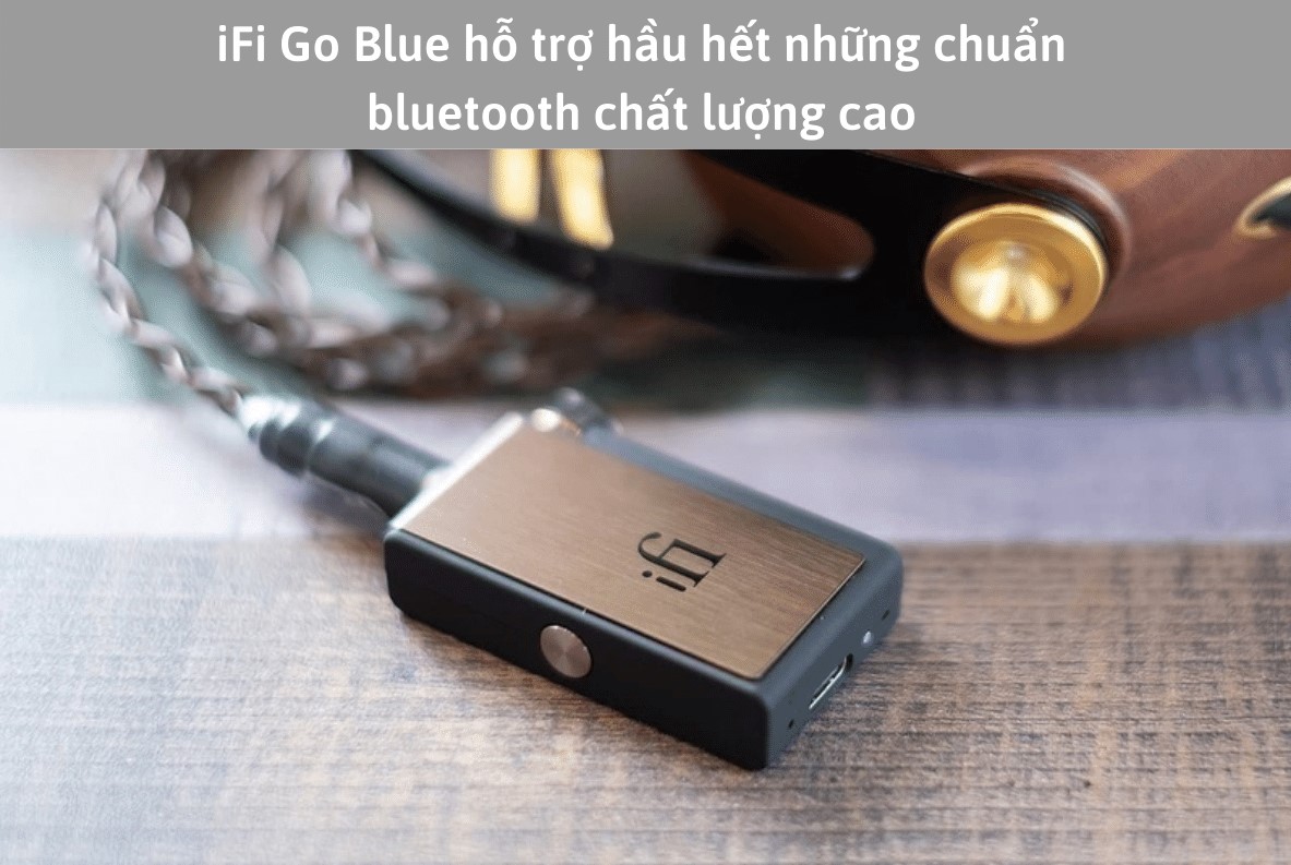 Bluetooth DAC/AMP iFi GO Blu