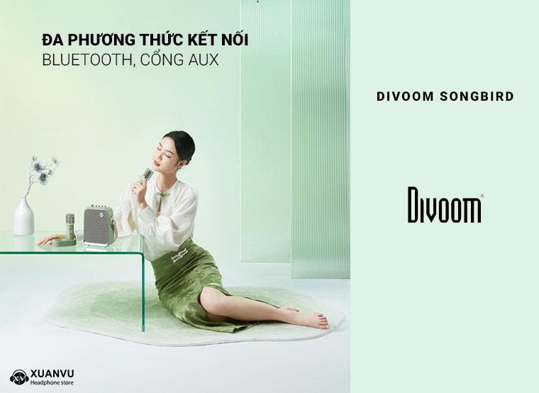 Loa Karaoke Divoom SongBird HQ kết nối
