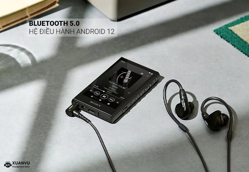 Máy nghe nhạc Sony Walkman NW-A306 bluetooth