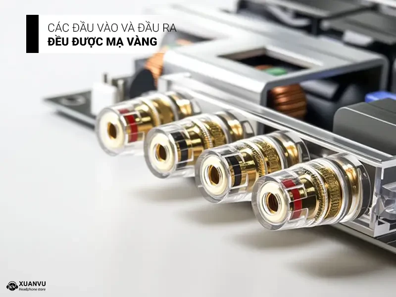 SMSL VMV A1 Pro Power Amplifier cổng kết nối mạ vàng