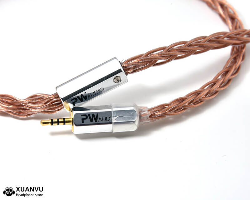 PW Audio Anniversary series No.5 8wired hình 4