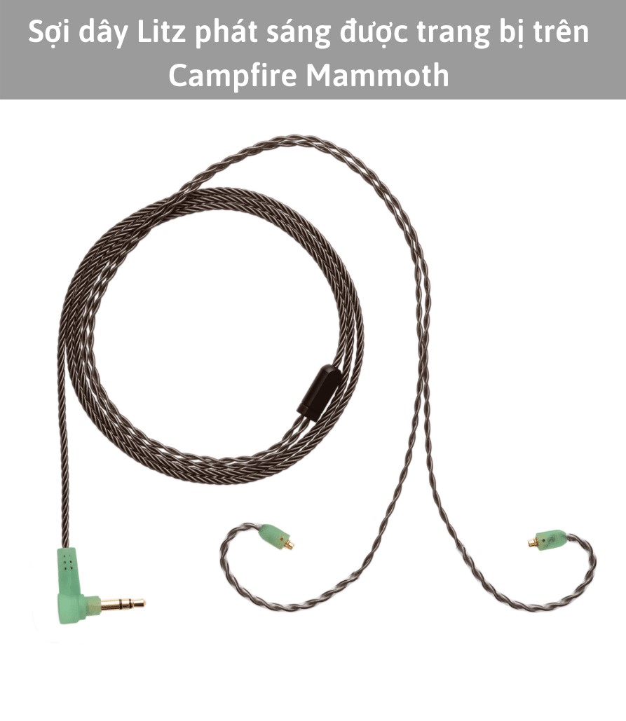 Campfire Mammoth