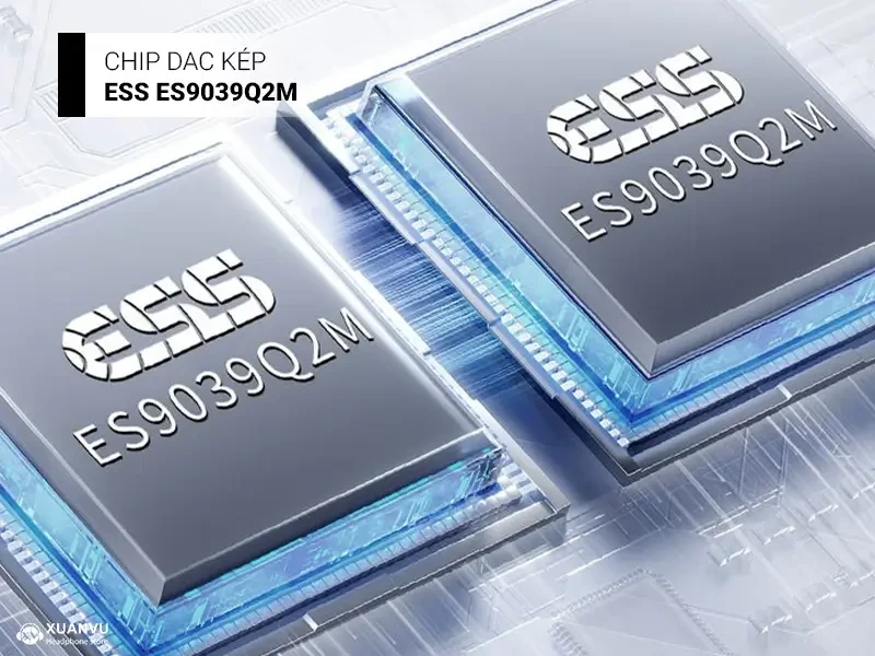 Desktop DAC/AMP Topping DX5 II chip dac kép 