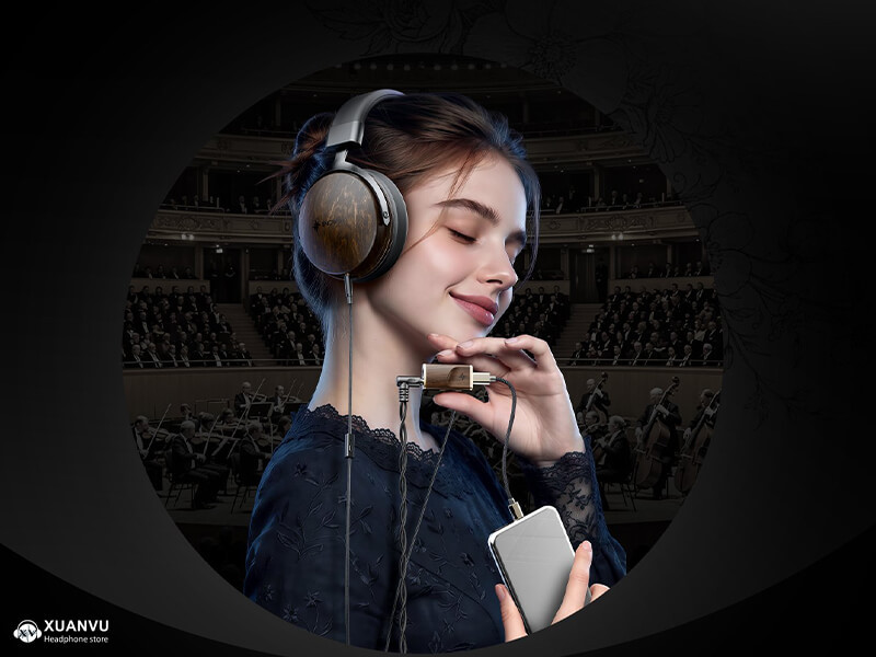Tai nghe FiiO Snowsky Nature ghép nối