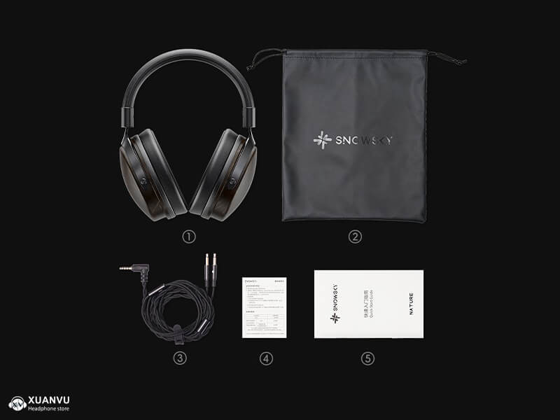 Tai nghe FiiO Snowsky Nature phụ kiện