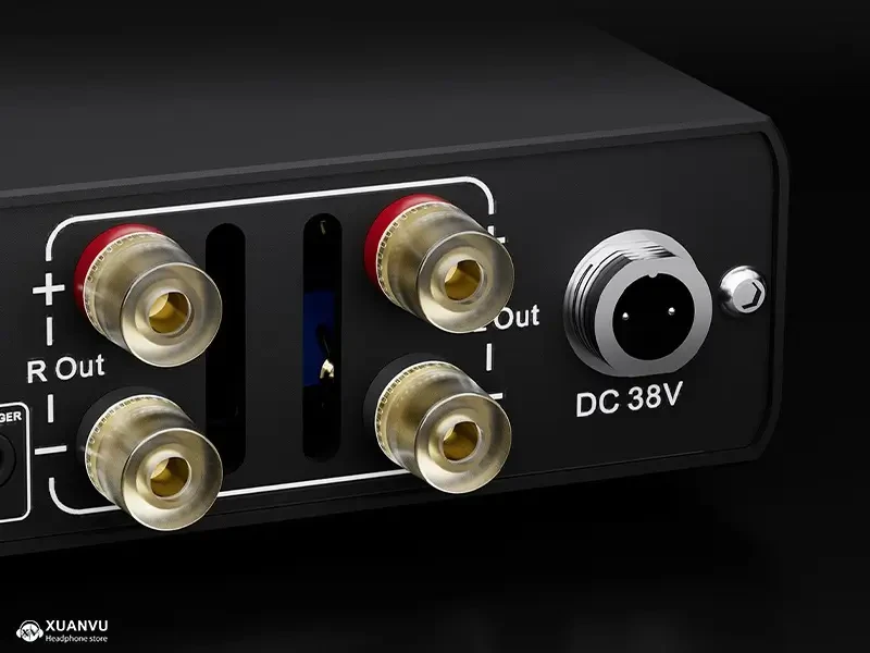 Topping Mini 300 Power Amplifier trigger