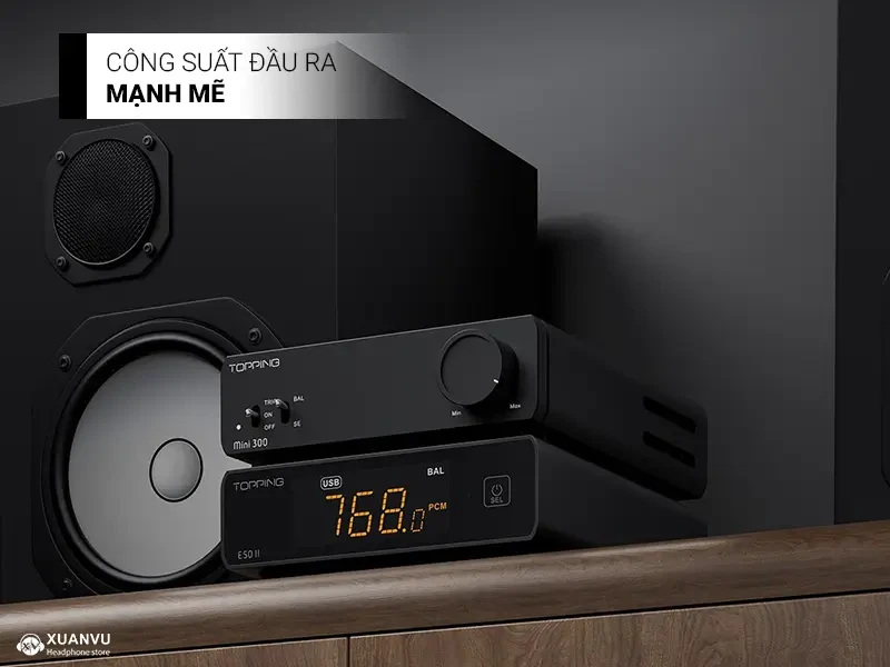 Topping Mini 300 Power Amplifier công suất đầu ra 