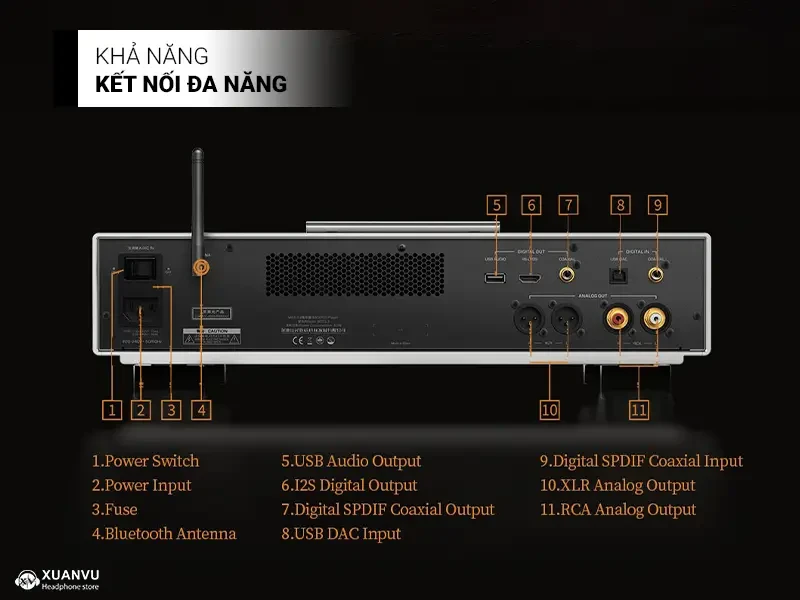 Shanling SCD3.3 SACD Player khả năng kết nối