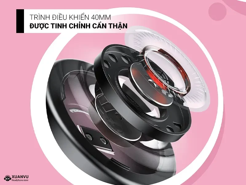 Tai nghe FiiO Snowsky Anytime driver