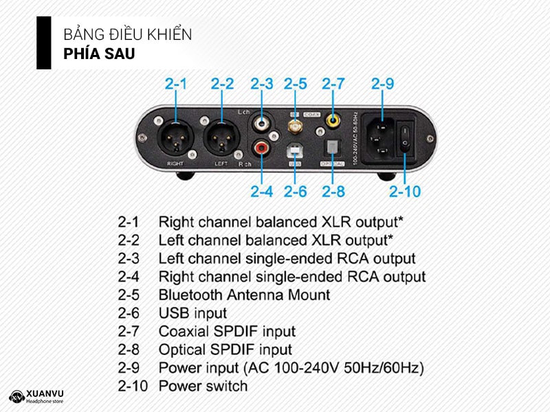 DAC/AMP Topping DX5 Lite thiết kế 2