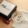 PW Audio Anniversary series No.10 8wired