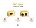 iFi GO bar Limited Edition Gold