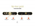 iFi Hip DAC 2 (Gold Edition)