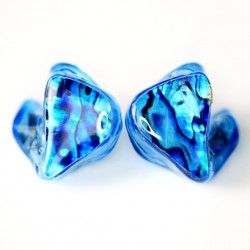 AAW A1D Custom In-ear Monitor