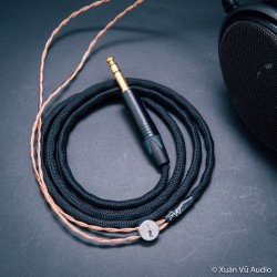 PWaudio No.5 Cho HD650