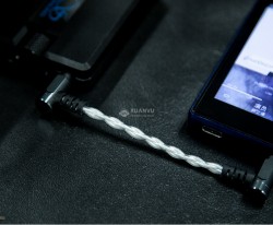 Shanling L1 Line out cable