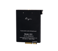 DAC/AMP Cayin E01 for Cayin N6II