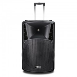 Loa AudioFrog Pro P15