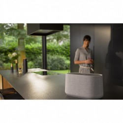 Loa Harman Kardon Citation 300