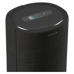 Loa Harman Kardon Citation Tower