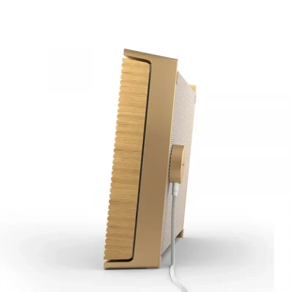 Loa Bang & Olufsen BeoSound Level Gold