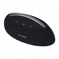 Loa Harman Kardon Go Play