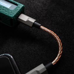 Cáp Lightning to USB-C L&P WP1 HiFi 