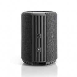 Loa bluetooth Audio Pro A10