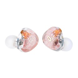 Tai nghe in-ear iF D5