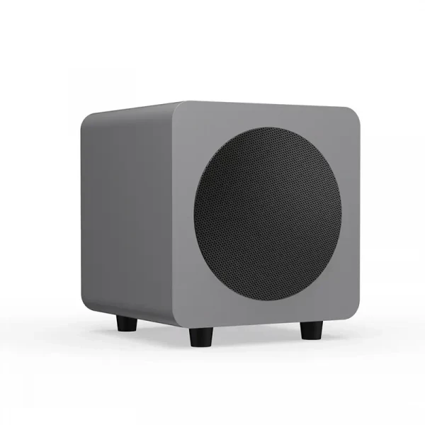Loa subwoofer Kanto SUB6 