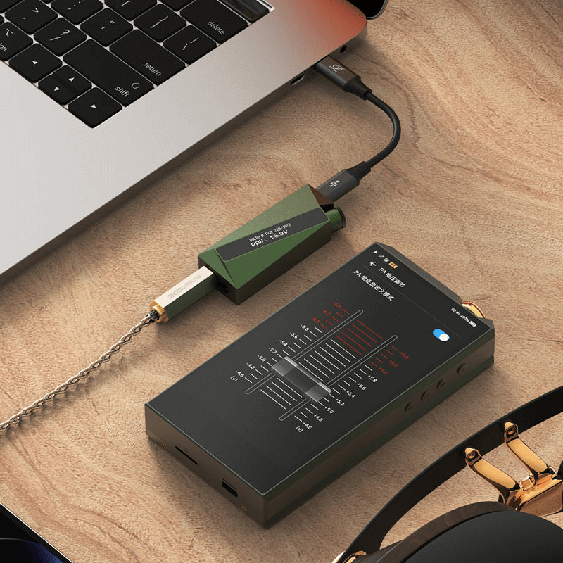 DAC/AMP Luxury & Precision W2 Ultra hình 1