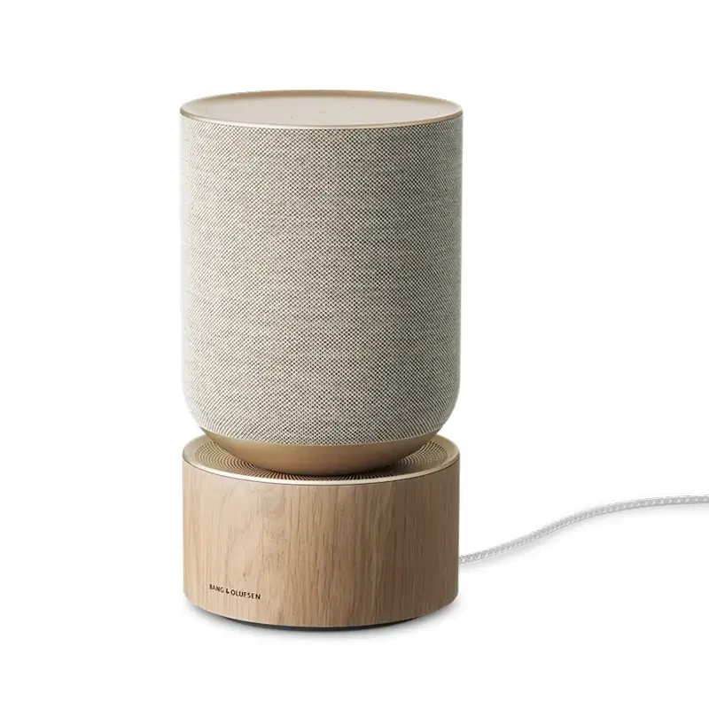 Loa B&O Beosound Balanced GVA – Black/ Natural hình 1