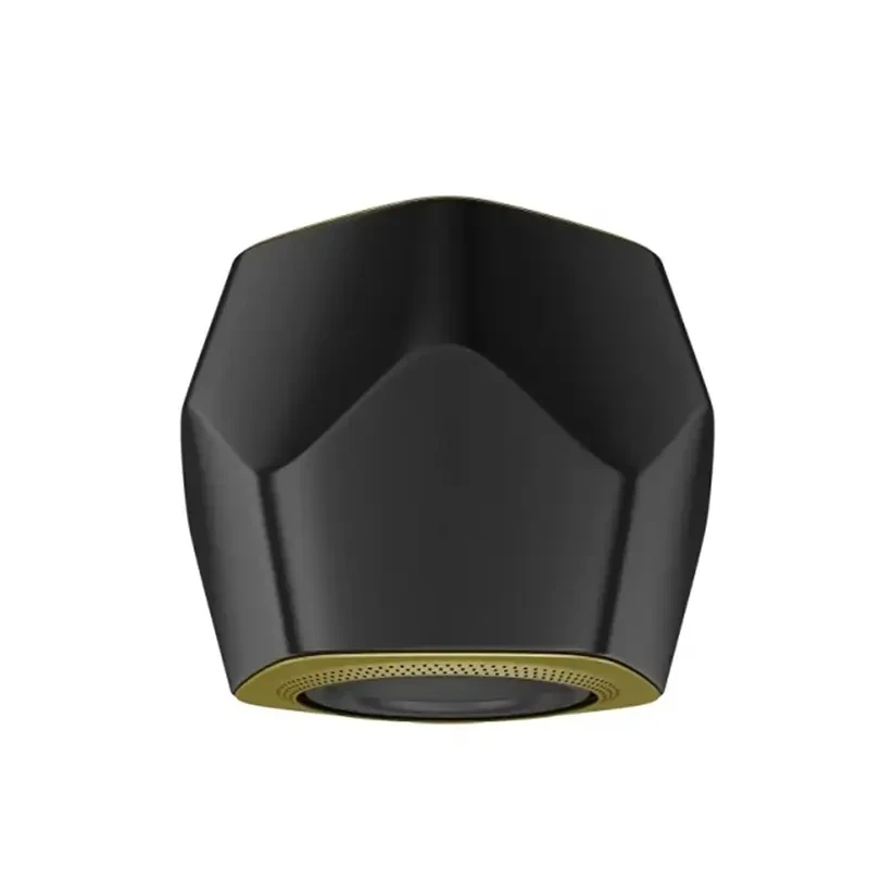 Loa Sub B&O Beolab 19 Brass hình 2