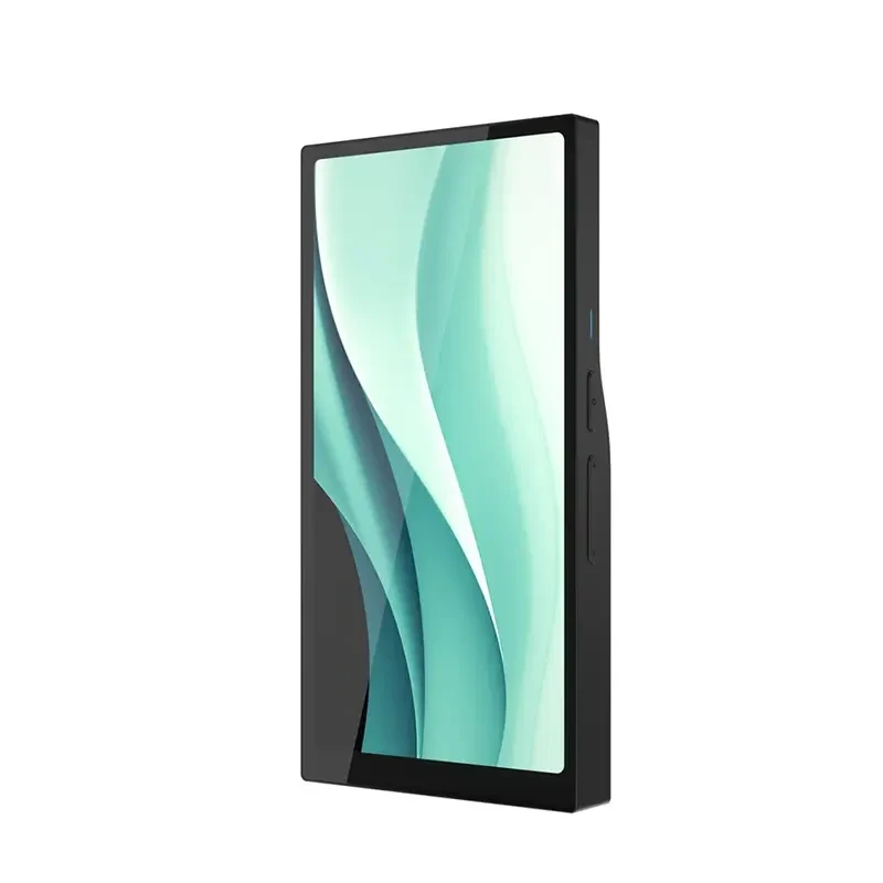 Máy nghe nhạc HiBy R6 Pro II 2025 hình 3